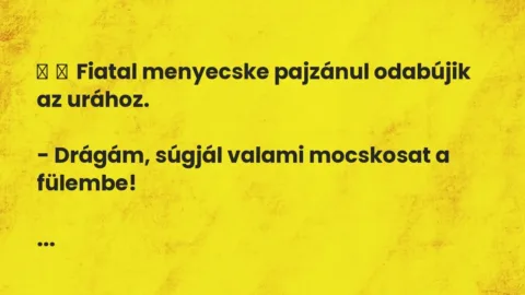 Vicc: 
	    	    Fiatal menyecske pajzánul odabújik az urához.


– Drágám, súgjál…