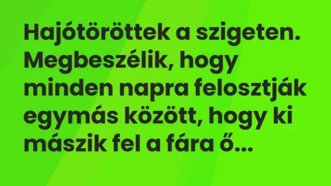 Vicc: Hajótöröttek a szigeten. Megbeszélik, hogy minden napra felosztják egymás…