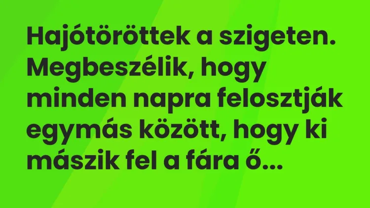 Vicc: Hajótöröttek a szigeten. Megbeszélik, hogy minden napra felosztják egymás…