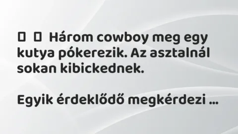 Vicc: 
	    	    Három cowboy meg egy kutya pókerezik. Az asztalnál sokan…
