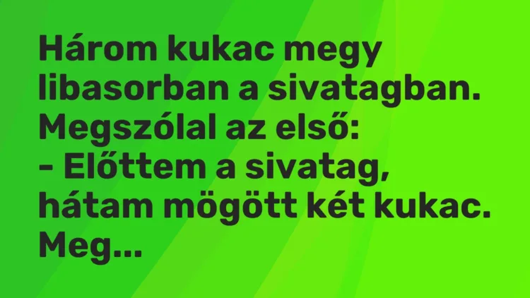Vicc: Három kukac megy libasorban a sivatagban. Megszólal az első: – Előttem…