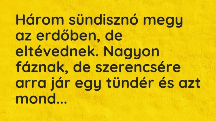 Vicc: Három sündisznó megy az erdőben, de eltévednek. Nagyon fáznak, de szerencsére… Vicc: Három sündisznó megy az erdőben, de eltévednek. Nagyon fáznak, de szerencsére…