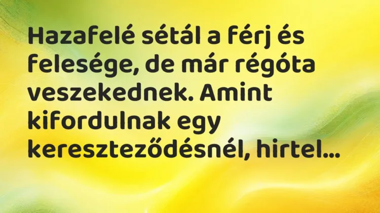 Vicc: Hazafelé sétál a férj és felesége, de már régóta veszekednek. Amint kifordulnak… Vicc: Hazafelé sétál a férj és felesége, de már régóta veszekednek. Amint kifordulnak…