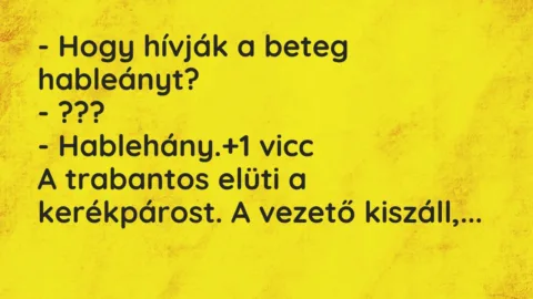 Vicc: – Hogy hívják a beteg hableányt?

– ???

– Hablehány.