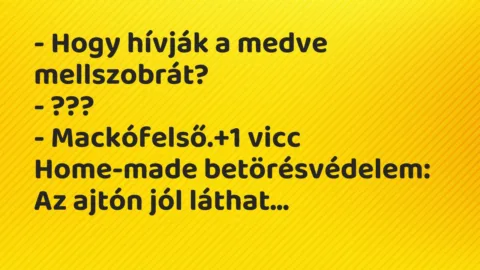 Vicc: – Hogy hívják a medve mellszobrát?

– ???

– Mackófelső.