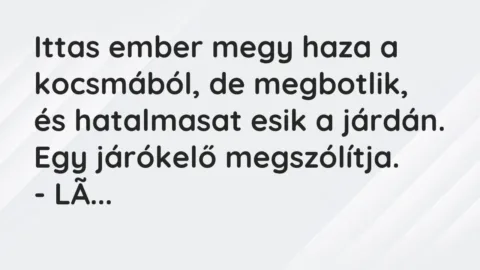 Vicc: Ittas ember megy haza a kocsmából, de megbotlik, és hatalmasat esik a…