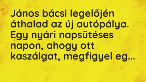 Vicc: János bácsi legelőjén áthalad az új autópálya. Egy nyári napsütéses napon, ahogy…