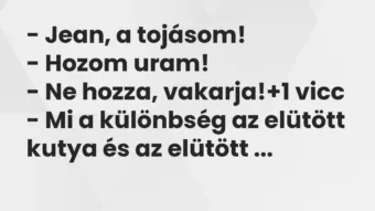 Vicc: – Jean, a tojásom! – Hozom uram! – Ne hozza, vakarja!