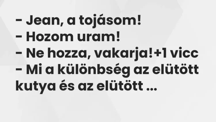 Vicc: – Jean, a tojásom!
– Hozom uram!
– Ne hozza, vakarja! Vicc: – Jean, a tojásom!
– Hozom uram!
– Ne hozza, vakarja!