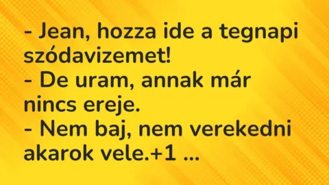 Vicc: – Jean, hozza ide a tegnapi szódavizemet!

– De uram, annak már nincs…