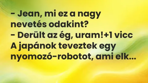 Vicc: – Jean, mi ez a nagy nevetés odakint?

– Derült az ég, uram!