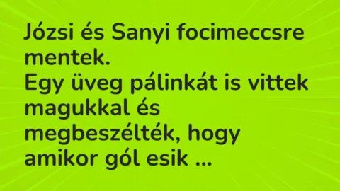 Vicc: Józsi és Sanyi focimeccsre mentek.

Egy üveg pálinkát is vittek magukkal és…
