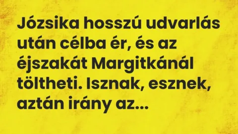 Vicc: Józsika hosszú udvarlás után célba ér, és az éjszakát Margitkánál töltheti….