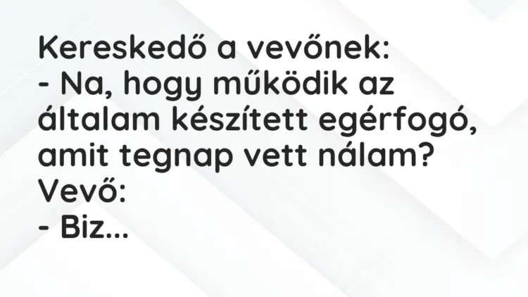 Vicc: Kereskedő a vevőnek: – Na, hogy működik az általam készített egérfogó, amit…