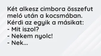 Vicc: Két alkesz cimbora összefut meló után a kocsmában. Kérdi az egyik a…