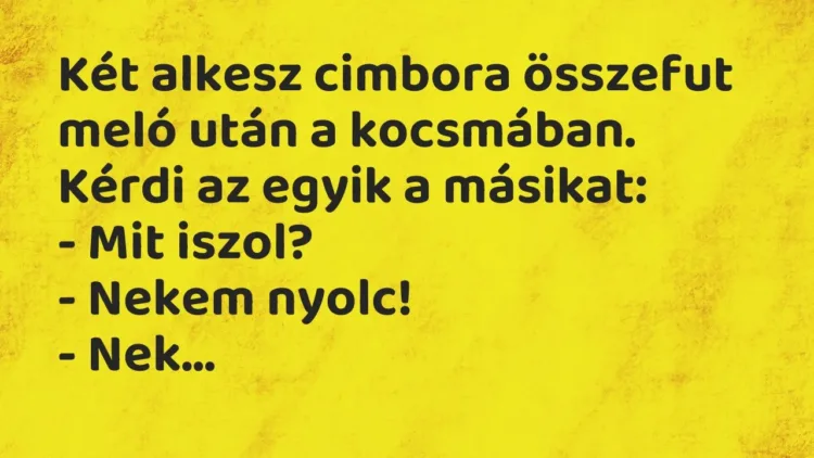 Vicc: Két alkesz cimbora összefut meló után a kocsmában. Kérdi az egyik a… Vicc: Két alkesz cimbora összefut meló után a kocsmában. Kérdi az egyik a…