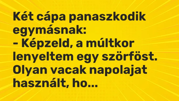 Vicc: Két cápa panaszkodik egymásnak: – Képzeld, a múltkor lenyeltem egy…