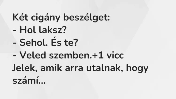 Vicc: Két cigány beszélget:
– Hol laksz?
– Sehol. És te?
– Veled… Vicc: Két cigány beszélget:
– Hol laksz?
– Sehol. És te?
– Veled…