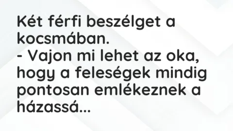 Vicc: Két férfi beszélget a kocsmában.

– Vajon mi lehet az oka, hogy a feleségek…