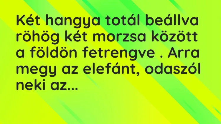 Vicc: Két hangya totál beállva röhög két morzsa között a földön fetrengve . Arra…