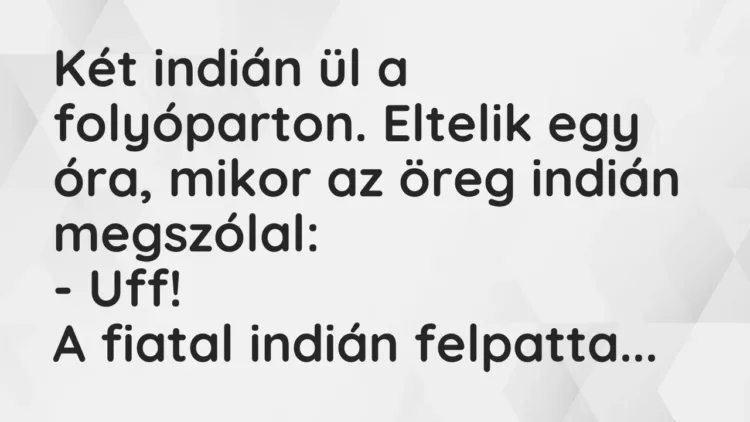 Vicc: Két indián ül a folyóparton. Eltelik egy óra, mikor az öreg indián… Vicc: Két indián ül a folyóparton. Eltelik egy óra, mikor az öreg indián…