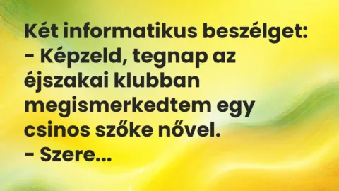 Vicc: Két informatikus beszélget:

– Képzeld, tegnap az éjszakai klubban…