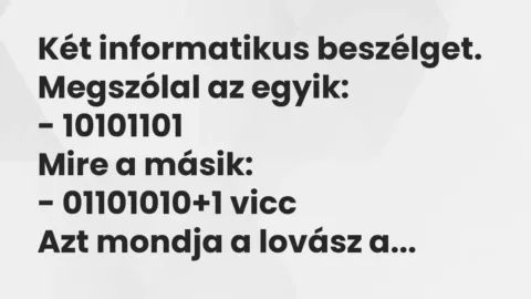 Vicc: Két informatikus beszélget. Megszólal az egyik:

– 10101101

Mire a…