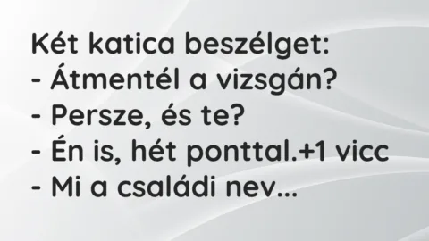 Vicc: Két katica beszélget:

– Átmentél a vizsgán?

– Persze, és te?

– Én…