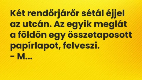 Vicc: Két rendőrjárőr sétál éjjel az utcán. Az egyik meglát a földön egy összetaposott…