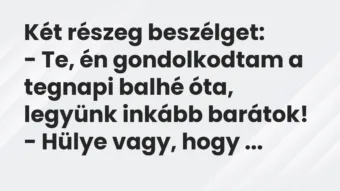 Vicc: Két részeg beszélget: – Te, én gondolkodtam a tegnapi balhé óta, legyünk…