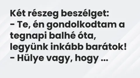 Vicc: Két részeg beszélget:

– Te, én gondolkodtam a tegnapi balhé óta, legyünk…