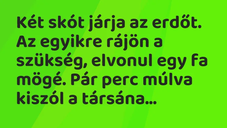 Vicc: Két skót járja az erdőt. Az egyikre rájön a szükség, elvonul egy fa mögé. Pár…