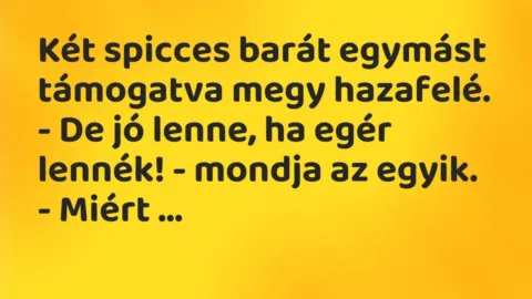 Vicc: Két spicces barát egymást támogatva megy hazafelé.

– De jó lenne, ha egér…