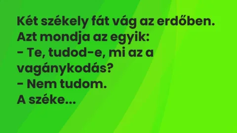 Vicc: Két székely fát vág az erdőben. Azt mondja az egyik:

– Te, tudod-e, mi az a…