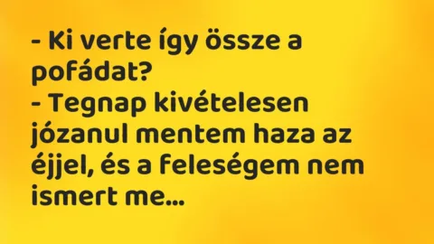 Vicc: – Ki verte így össze a pofádat?

– Tegnap kivételesen józanul mentem haza az…