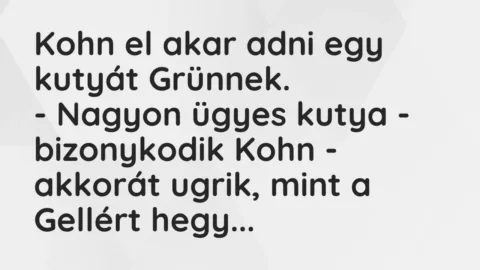 Vicc: Kohn el akar adni egy kutyát Grünnek.

– Nagyon ügyes kutya – bizonykodik…