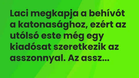 Vicc: Laci megkapja a behívót a katonasághoz, ezért az utólsó este még egy kiadósat…