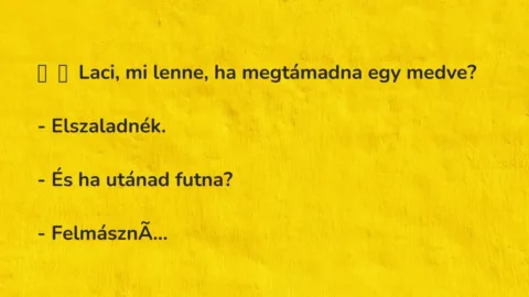 Vicc: 
	    	    Laci, mi lenne, ha megtámadna egy medve?


-…