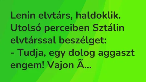 Vicc: Lenin elvtárs, haldoklik. Utolsó perceiben Sztálin elvtárssal beszélget:

-…