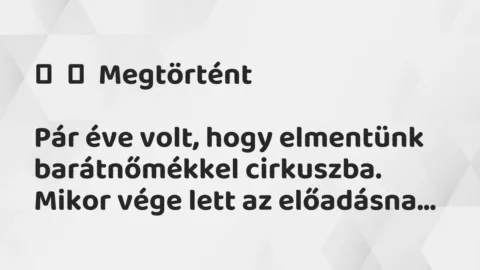 Vicc: 
	    	    Megtörtént


Pár éve volt, hogy elmentünk barátnőmékkel…
