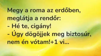 Vicc: Megy a roma az erdőben, meglátja a rendőr: – Hé te, cigány! – Úgy…