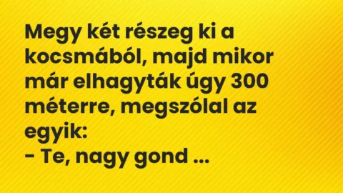 Vicc: Megy két részeg ki a kocsmából, majd mikor már elhagyták úgy 300 méterre,…