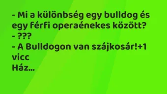 Vicc: – Mi a különbség egy bulldog és egy férfi operaénekes között? – ??? -…