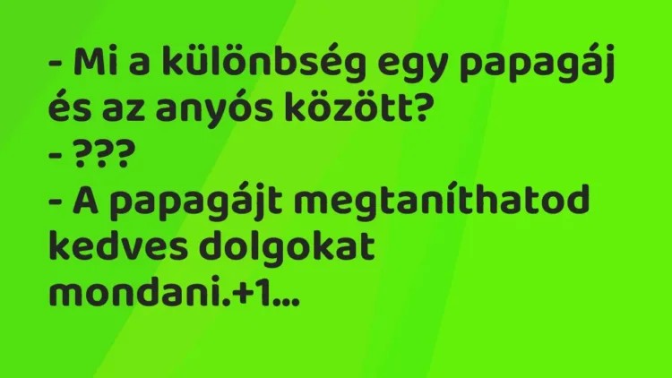 Vicc: – Mi a különbség egy papagáj és az anyós között?
– ???
– A papagájt… Vicc: – Mi a különbség egy papagáj és az anyós között?
– ???
– A papagájt…