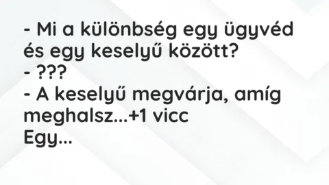 Vicc: – Mi a különbség egy ügyvéd és egy keselyű között?

– ???

– A keselyű…