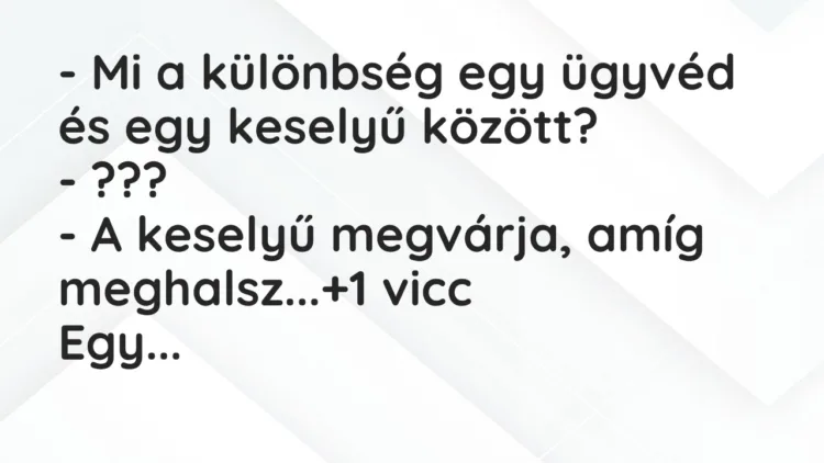 Vicc: – Mi a különbség egy ügyvéd és egy keselyű között? – ??? – A keselyű…