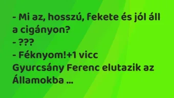 Vicc: – Mi az, hosszú, fekete és jól áll a cigányon?

– ???

– Féknyom!