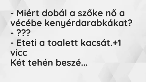 Vicc: – Miért dobál a szőke nő a vécébe kenyérdarabkákat?

– ???

– Eteti a…