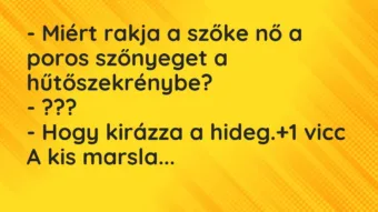 Vicc: – Miért rakja a szőke nő a poros szőnyeget a hűtőszekrénybe? – ??? -…