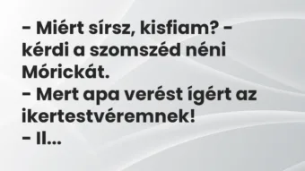 Vicc: – Miért sírsz, kisfiam? – kérdi a szomszéd néni Mórickát. – Mert apa verést…